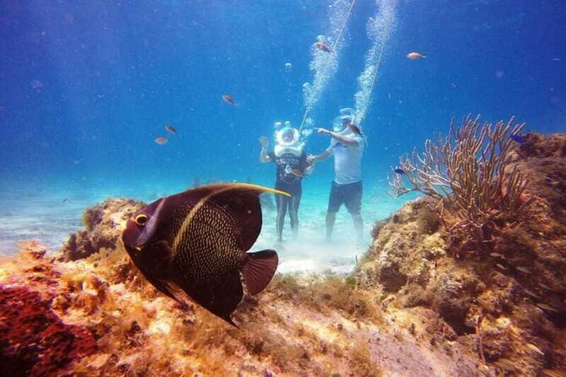 Cozumel: Sea Trek Adventure at Chankanaab National Park - Price and value: $79 plus the Chankanaab entrance fee