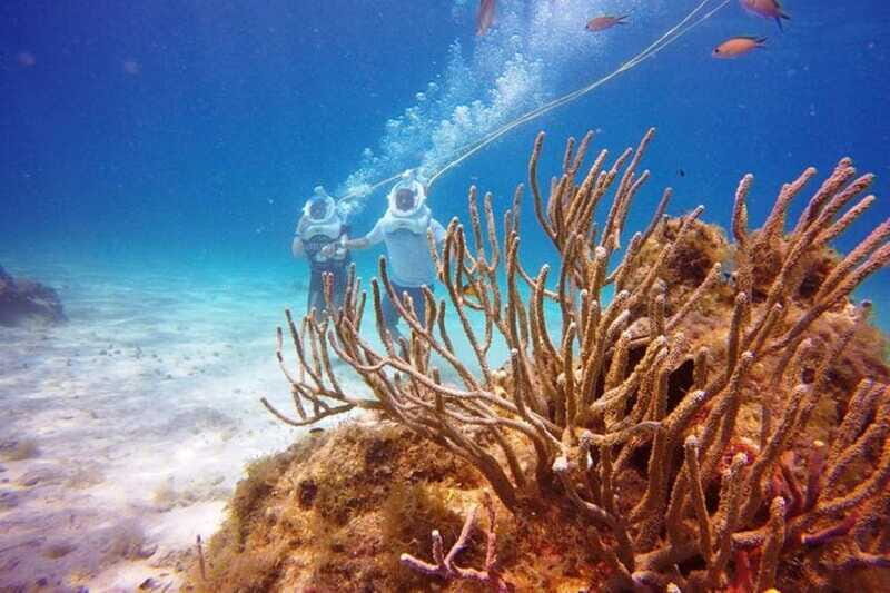 Cozumel: Sea Trek Adventure at Chankanaab National Park - Practical tips that help your 2-hour slot feel smooth