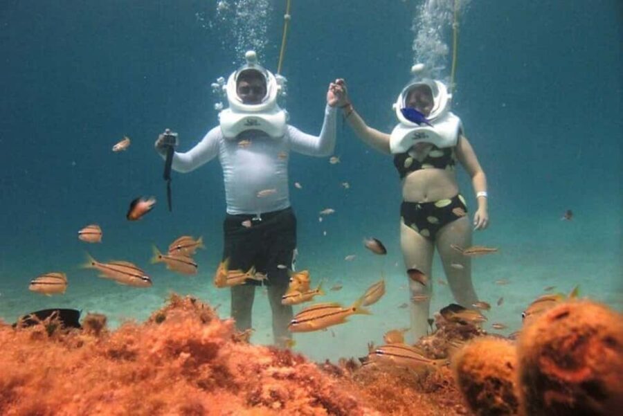 Cozumel: Sea Trek Adventure at Chankanaab National Park - The 2-hour flow: from main entrance to reef walk