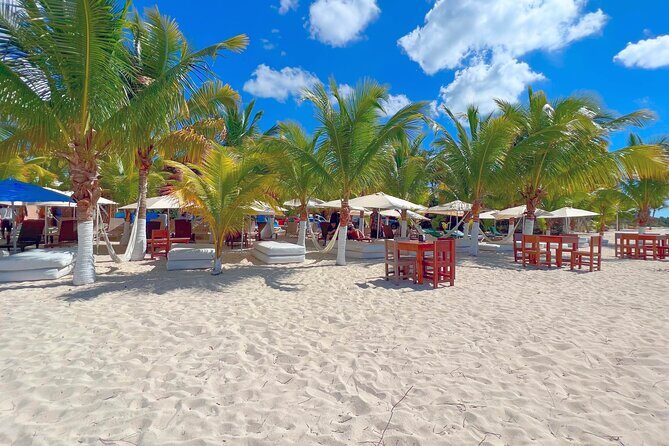 Cozumel: Shore Excursions for Royal Caribbean Cruise Passengers - Timing Tips for Royal Caribbean Passengers