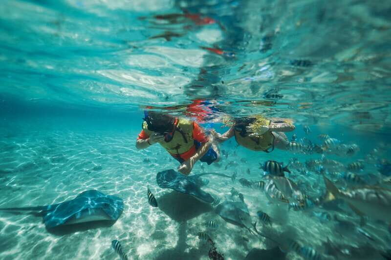 Cozumel: Snorkel and Swim with Stingrays - The first 30 minutes: feeding stingrays in waist-deep water