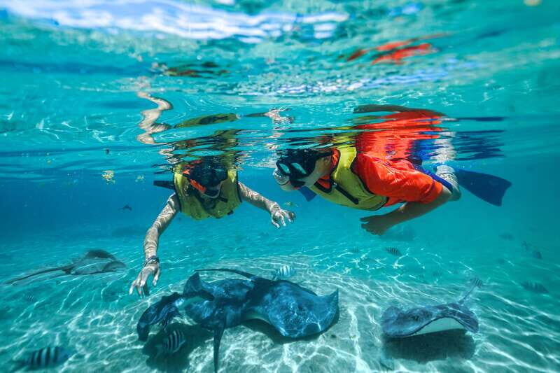 Cozumel: Snorkel and Swim with Stingrays - Snorkeling for fish (and maybe nurse sharks) plus the rescued coral reef