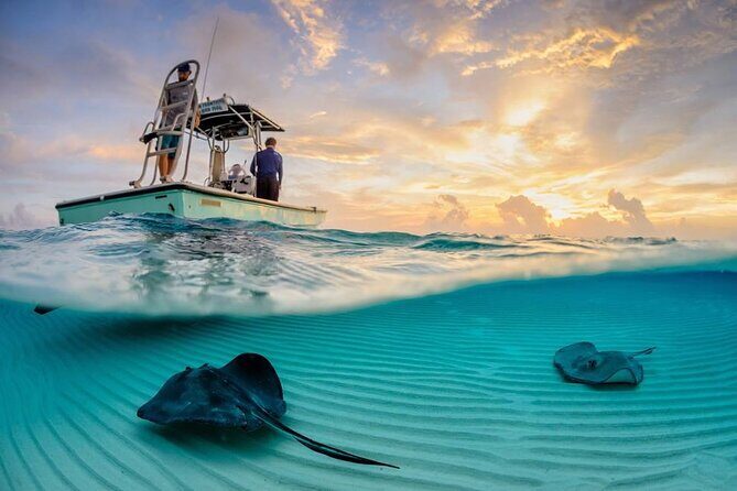 Cozumel Snorkel at El Cielo & 2 Reefs! Transportation from Tulum - Lunch, pool time, and the free walk in Cozumel town