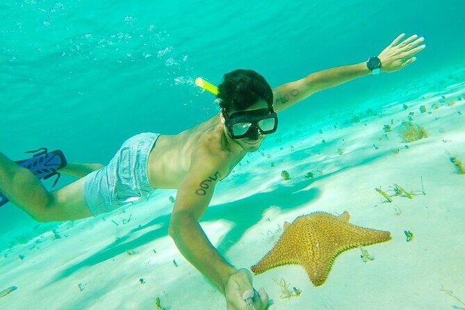 Cozumel Snorkel at El Cielo & 2 Reefs! Transportation from Tulum - A quick sunscreen reality check for Cozumel water