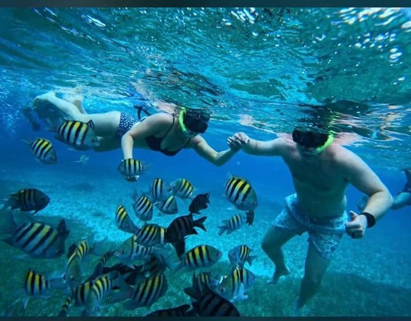 Cozumel: snorkeling on reefs + visit to "El Cielo" - Price and what you’re actually paying for (850 pesos total)