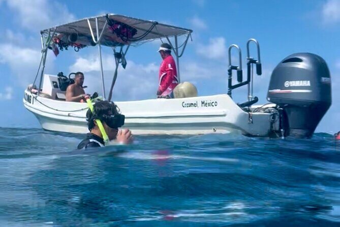 Cozumel Snorkeling Reef Experience with Ceviche and Beers - What you’re really paying for with a $129 private tour