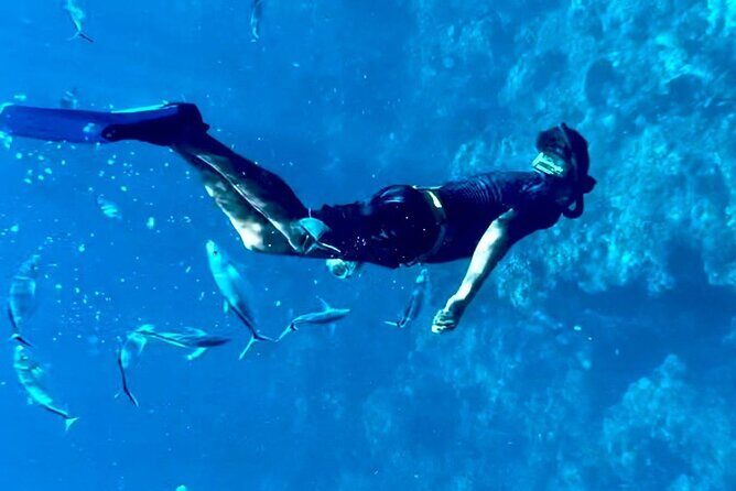 Cozumel Snorkeling Reef Experience with Ceviche and Beers - Who this snorkeling day suits best