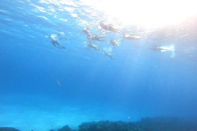 Cozumel Snorkeling Reef Experience with Ceviche and Beers - Should you book this Cozumel snorkeling with ceviche and beers?