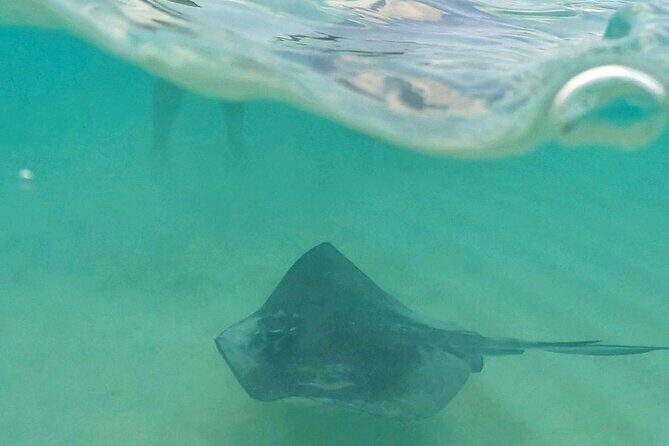Cozumel: Snorkeling to El Cielo & Cielito with drinks & Snack - Palancar, El Cielo, and Cielito in one focused outing