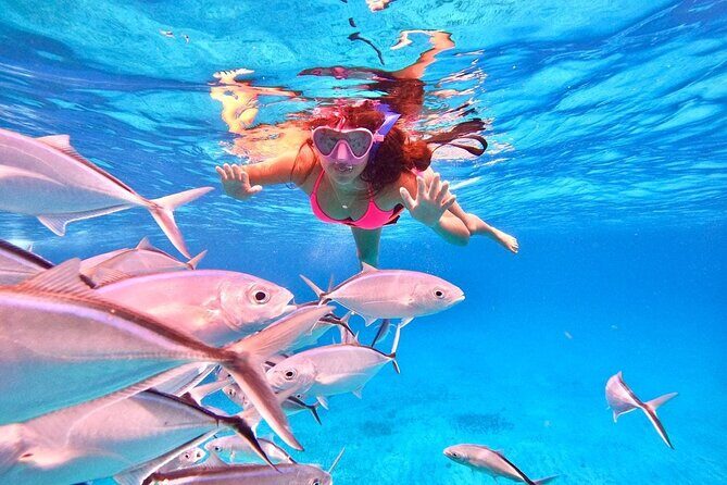 Cozumel: Snorkeling to El Cielo & Cielito with drinks & Snack - Drinks and lunch: where the $65.46 starts to make sense