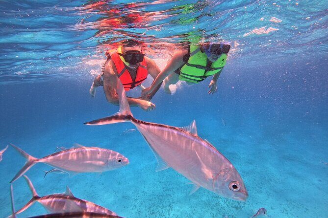 Cozumel: Snorkeling to El Cielo & Cielito with drinks & Snack - Timing: expect about 4 hours, but plan your body clock for snorkeling