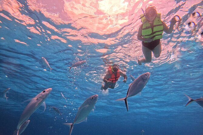 Cozumel: Snorkeling to El Cielo & Cielito with drinks & Snack - The Palancar Reef snorkel stops: calm water, real fish