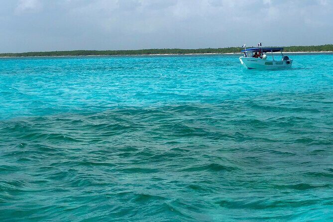 Cozumel Snorkeling Tour: Palancar, Columbia and El Cielo Reefs - Palancar Reef: coral gardens and the turtles-and-fish moments