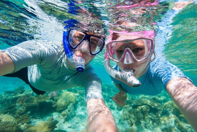 Cozumel Snorkeling Tour to Palancar Reef and El Cielo - Stop 1 at Palancar Reef: Coral Gardens in the Cozumel Marine Park
