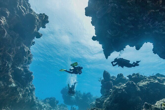 Cozumel underwater 2 Tank Dive by boat - Tank One Details: South-Side Reefs, Typical 60–80 ft Depth, and Multilevel Air Planning