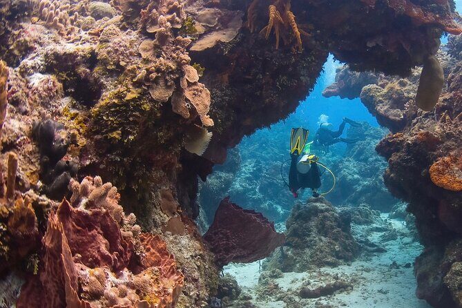 Cozumel underwater 2 Tank Dive by boat - Surface Interval and Lunch: About an Hour to Reset and Recenter