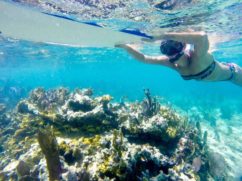 Cozumel: West Coast E-Bike and Snorkeling Tour - Getting started: the meeting point and the “no-stress” bike setup