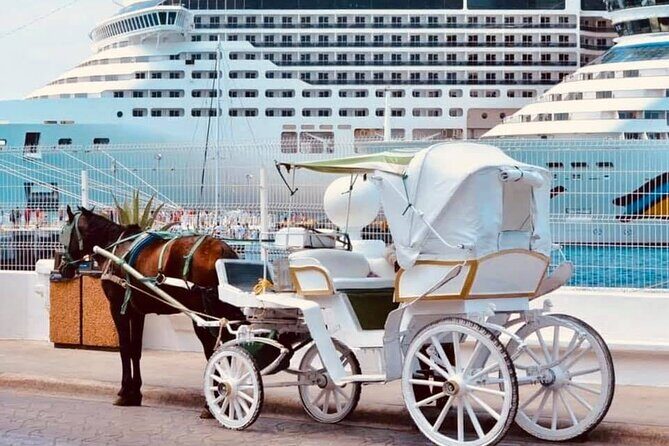 Cozumel's Heart Electric and Horse-drawn Carriage Tour - Comfort and accessibility: high steps are the big question