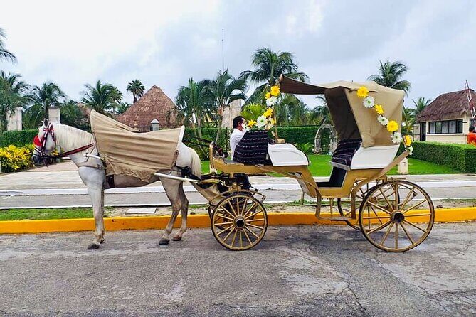 Cozumel's Heart Electric and Horse-drawn Carriage Tour - Parking fees included, meals extra: how to budget your day