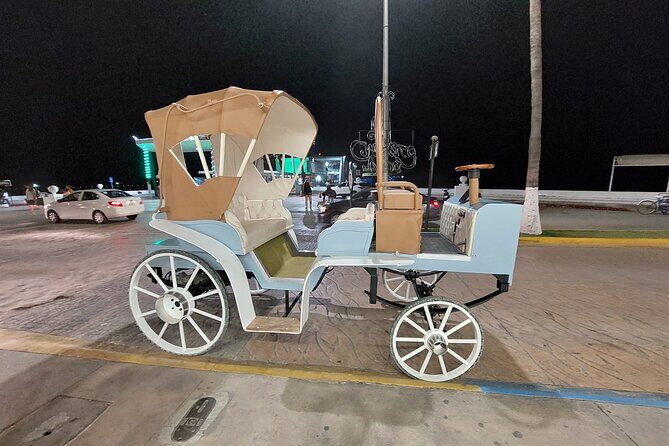 Cozumel's Heart Electric and Horse-drawn Carriage Tour - Horse-drawn or electric: clarify what you’ll actually ride