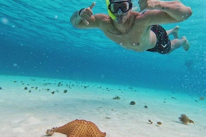 Cozumel's Reefs in El Cielo, Palancar and Columbia Guided Tour - Snorkeling gear, fins, and the life-jacket rule