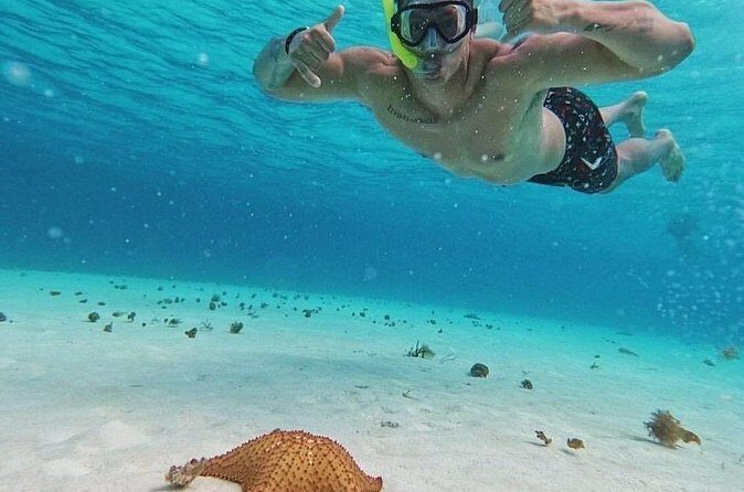 Cozumel's Reefs in El Cielo, Palancar and Columbia Guided Tour - What’s included: the food and drinks are the real value