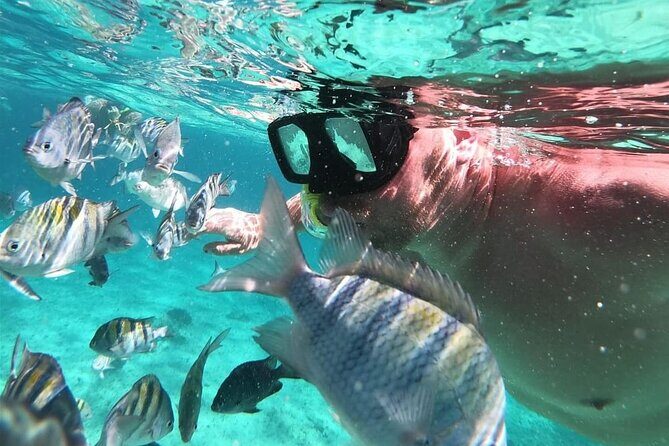 Cozumel's Reefs in El Cielo, Palancar and Columbia Guided Tour - Meeting at Cozumel Muelle Centro and what “about 4.5 hours” feels like