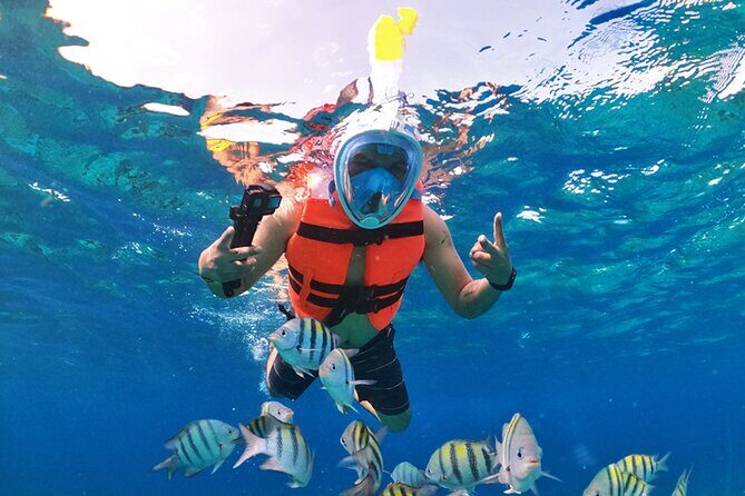 Crystal Boat Tour with Snorkeling and Drinks in Cozumel - Who should book this clear boat snorkeling tour (and who might skip it)