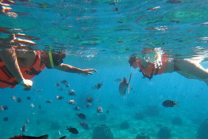 Crystal Boat Tour with Snorkeling and Drinks in Cozumel - Booking timing and weather: how to avoid a disappointment day