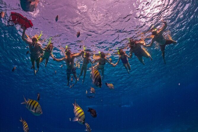 Crystal Boat Trip and Snorkeling Tour from Cozumel - Where You’ll Meet and How to Plan Your Day