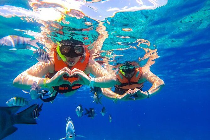 Crystal Boat Trip and Snorkeling Tour from Cozumel - Stop 2 at Punta Norte: The Legos Reef Snorkel Session