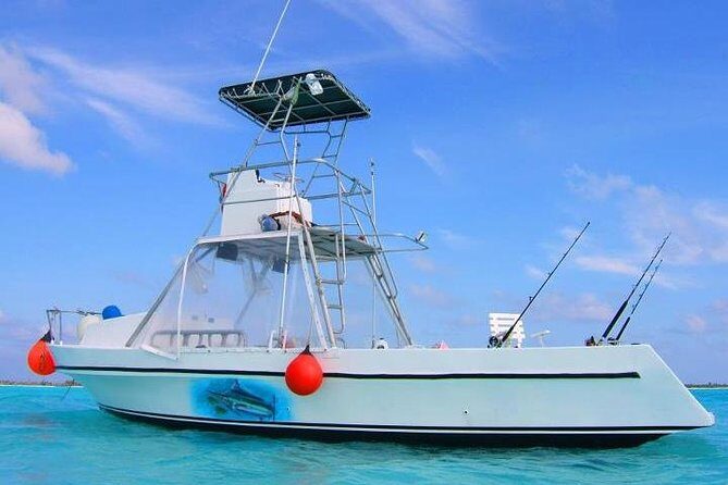 Deep Sea Fishing and Beach Break in Cozumel - Getting to Marina Cozumel and Boarding: Go Where the Action Is