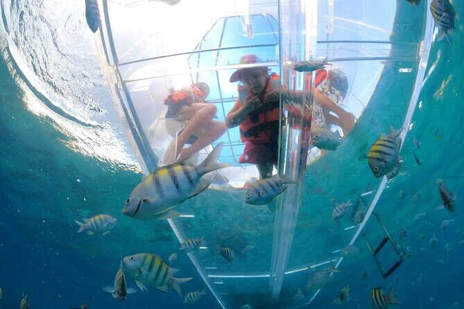 Discover Cozumel in a Transparent Boat! - The real question: can you handle the dock-to-boat moment?