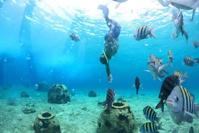 Discover Cozumel in a Transparent Boat! - Punta Norte by transparent boat: shipwrecks you can actually see
