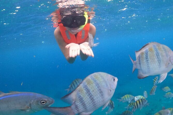 Discover Cozumel in a Transparent Boat! - Group size and who it’s best for