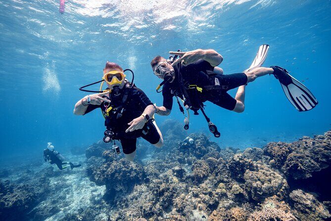 Discover Diving in the Reefs of Cozumel - Warm Cozumel Water Meets a Structured First-Time Lesson