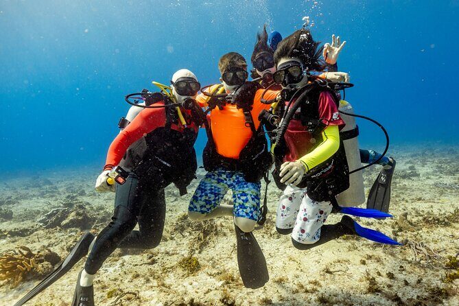 Discover Diving in the Reefs of Cozumel - The 12:00 Schedule: Meeting Point and Timing That Helps