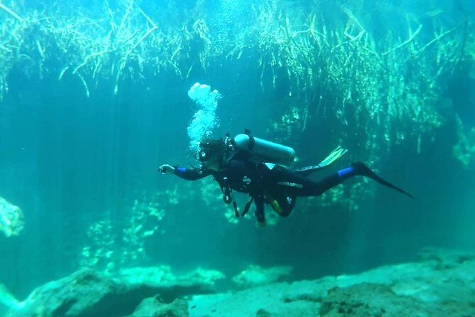 Discover Scuba Diving at Casa Cenote - Learning the equipment without getting overwhelmed