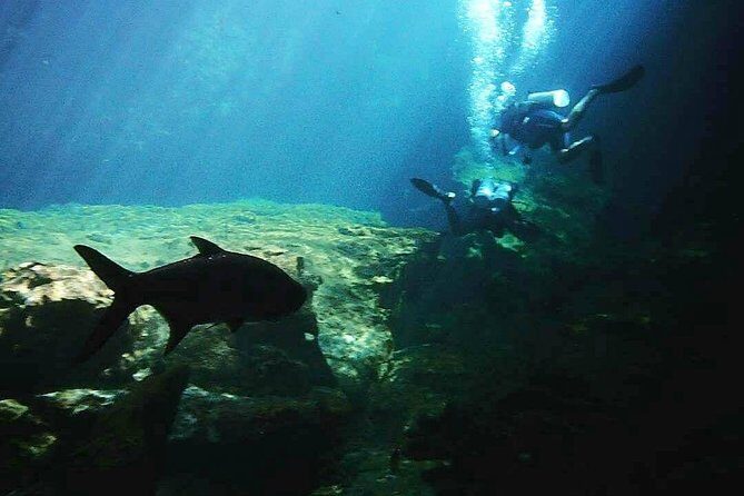 Discover Scuba Diving at Casa Cenote - Who should book this (and who should skip it)