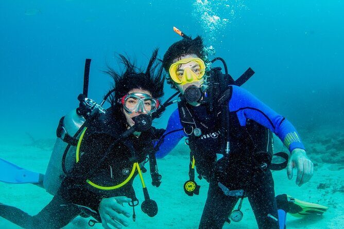 Discover Scuba Diving at Cozumel Marine Park - Pool Skills First: How You Get Comfortable Before You Go Under