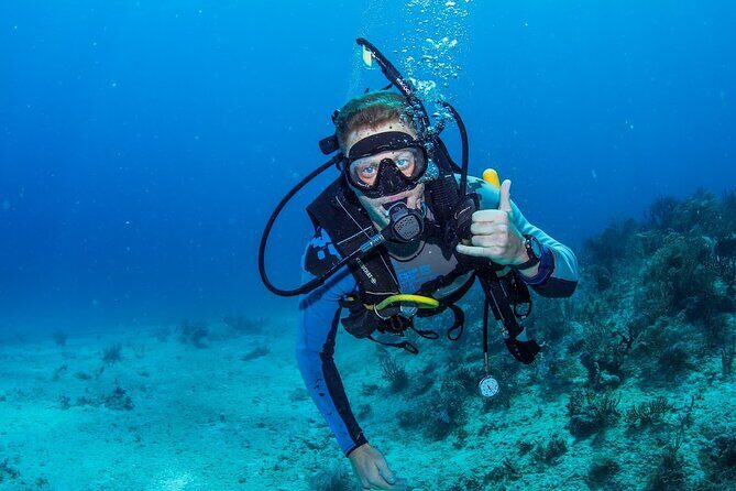 Discover Scuba Diving at Cozumel Marine Park - Meeting at 9:00 AM and a Simple Start in Cozumel
