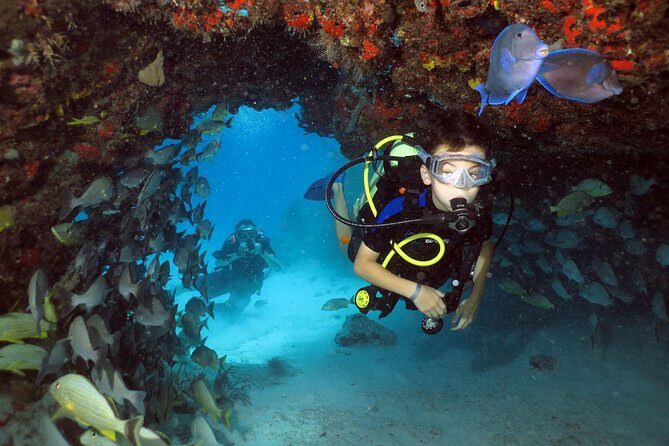 Discover Scuba Diving Course in Playa del Carmen with Two Coral Reef Dives - What You’re Really Buying for $169 in Playa del Carmen