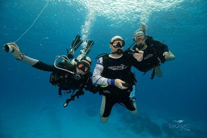 Discover Scuba Diving in Cozumel - Timing that fits a Cozumel day: two hours, no long downtime