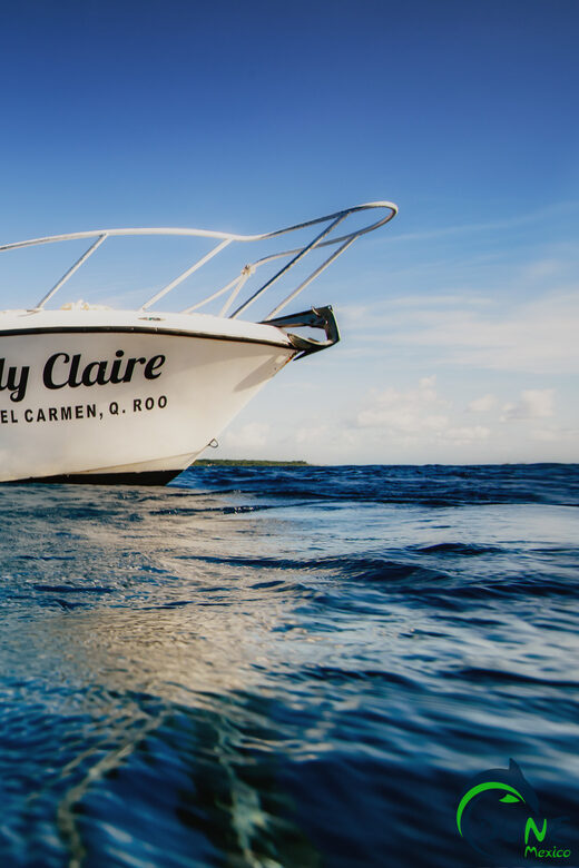 Discover Scuba Diving in Playa del Carmen - 2 dives - How your PADI credit works for future certification