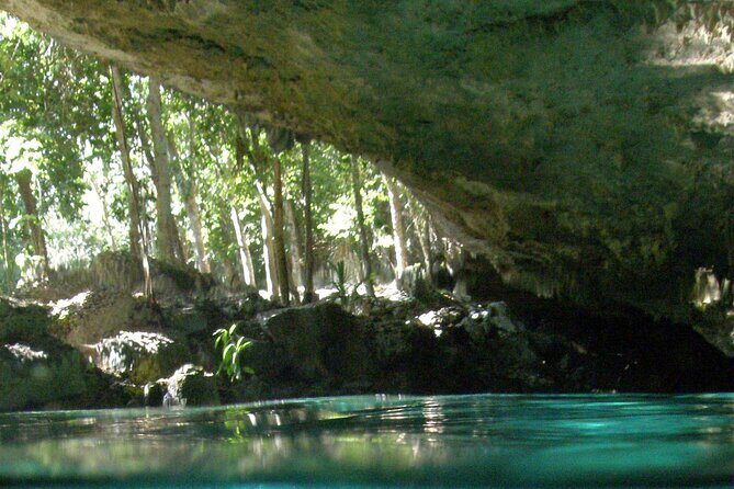 Discovering Breathtaking Cenotes in Tulum - Stop 1: Dos Ojos—Two Sinkholes and That Serious Light-Show