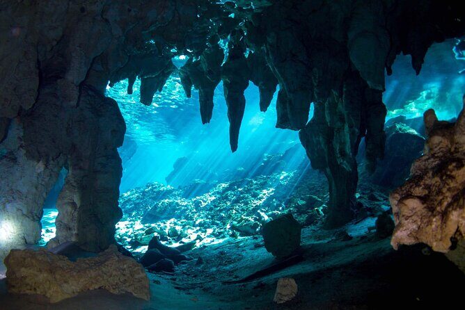 Discovering Breathtaking Cenotes in Tulum - Stop 2: Casa Cenote (Cenote Manati)—Open-Air Snorkeling With Current