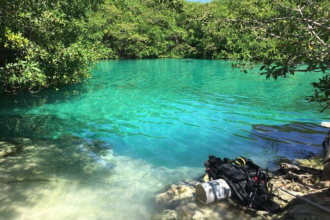 Discovering Breathtaking Cenotes in Tulum - Snorkel Gear, Guides, and Photo Help That Actually Matters