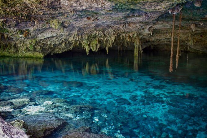 Discovering Breathtaking Cenotes in Tulum - Food and Timing: A Half-Day That Stays Comfortable