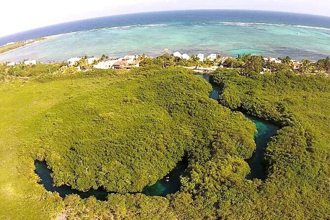 Discovering Breathtaking Cenotes in Tulum - Price and Value: What Your $149 Actually Covers