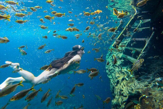 Dive into Tulum: Tour 3 Cenotes, from Riviera Maya - Price reality check: $39 ticket plus $29 preservation fee